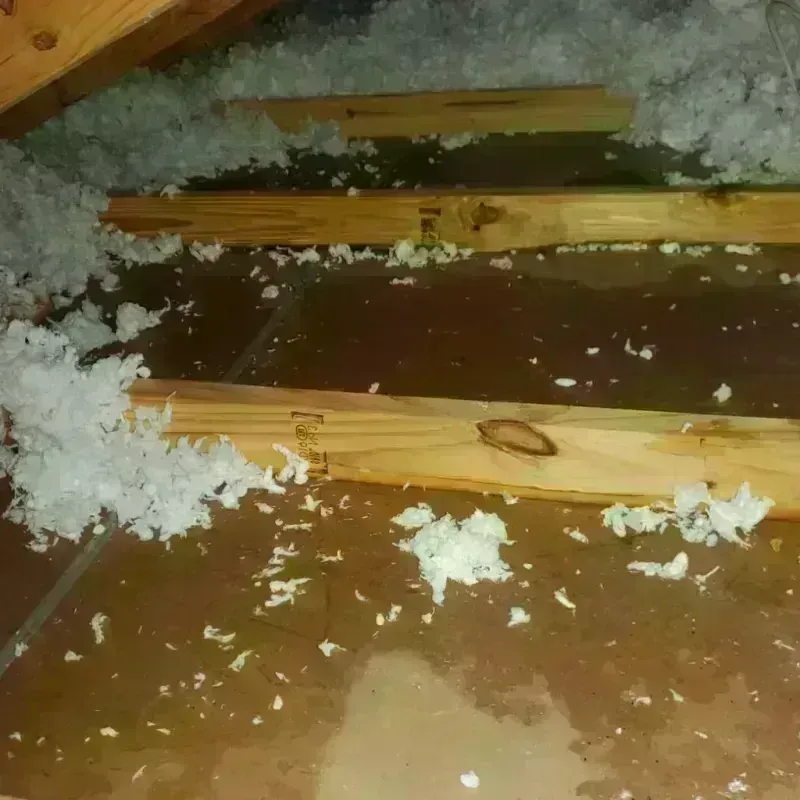 Attic Water Damage in Pipestone County, MN